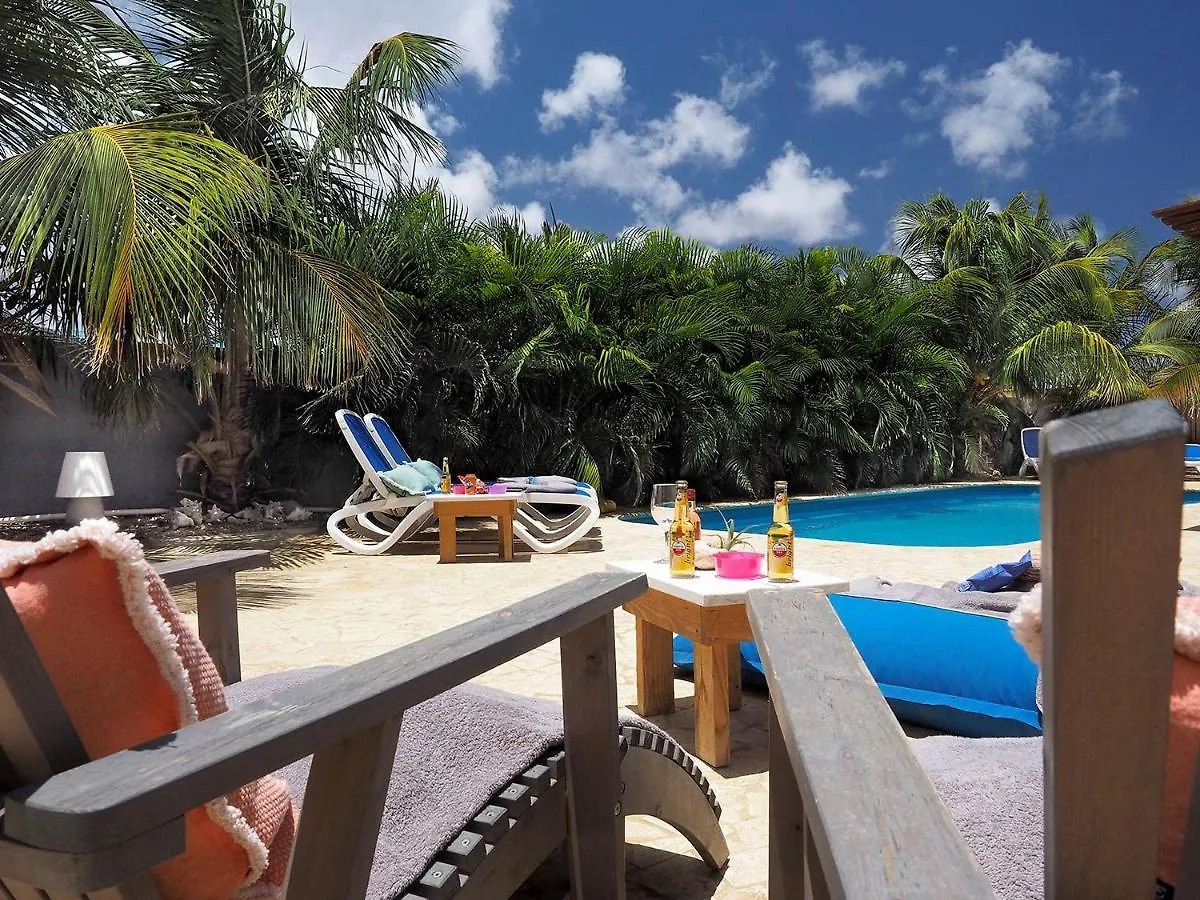 Oasis Guesthouse, Boutique Style Hotel Kralendijk  3*, Kralendijk (Bonaire)